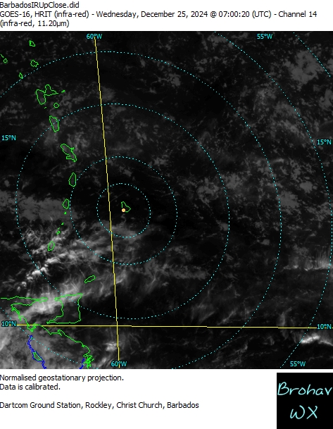 Barbados Infra Red (IR14) Close Up